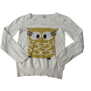 Owl Graphic Sweater
